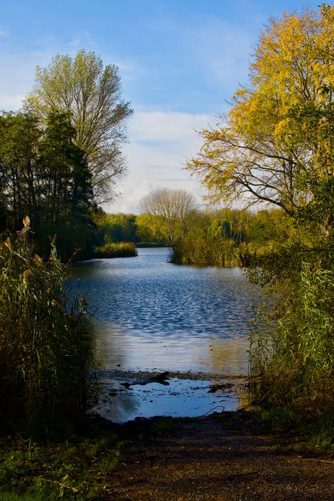 DSC 1240