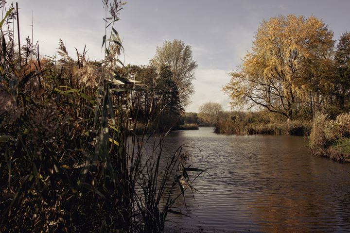 DSC 1242
