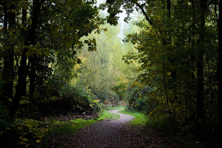 DSC 1331