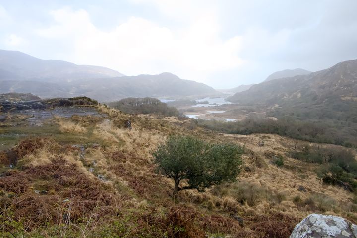 DSC 2733