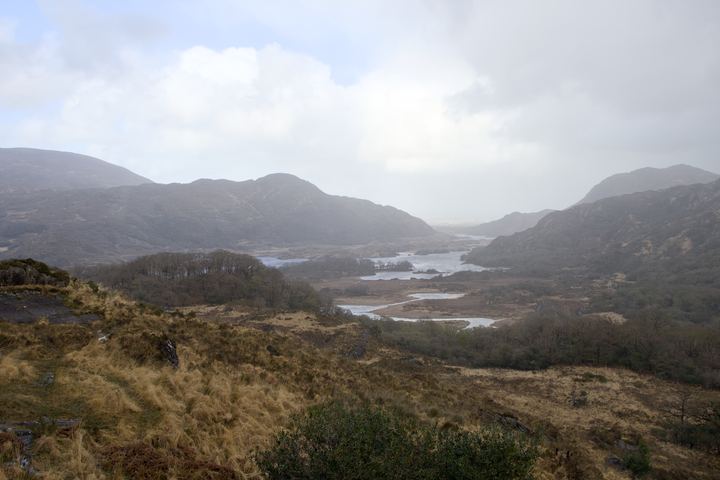 DSC 2736